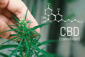 CBD cannabidiol formula