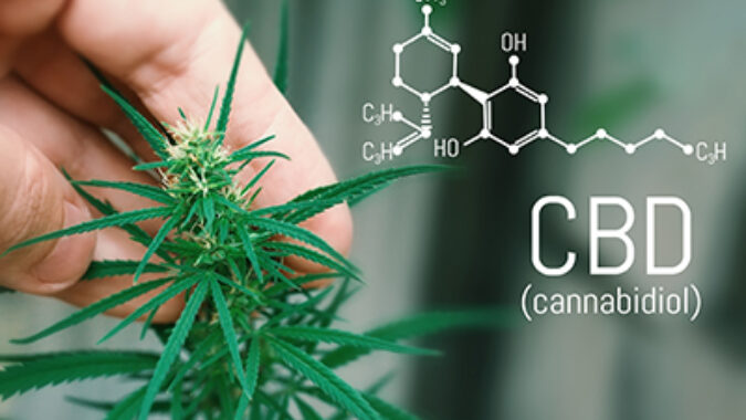 CBD cannabidiol formula