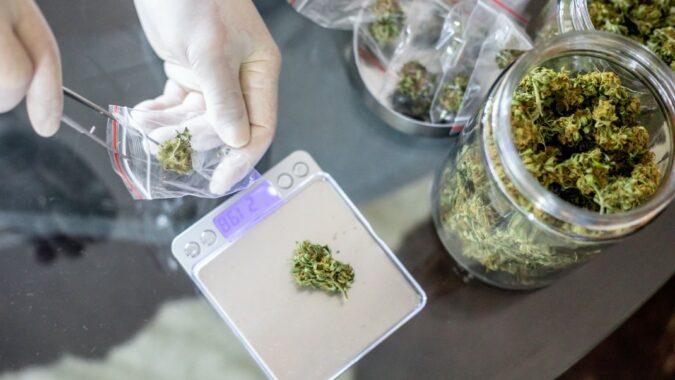 Marijuana buds being handled by a latex-gloved hand and being weighed on an electronic scale.