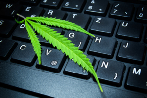 marijuana leaf laying on a computer keyboard