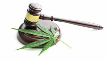 Cannabis: Workplace Regulatory Guidance – What You Need to Know